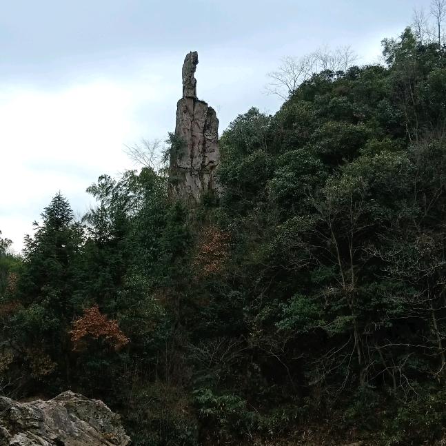 ٩(￥A￥)۶恭喜发财