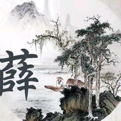 开超市的薛姐