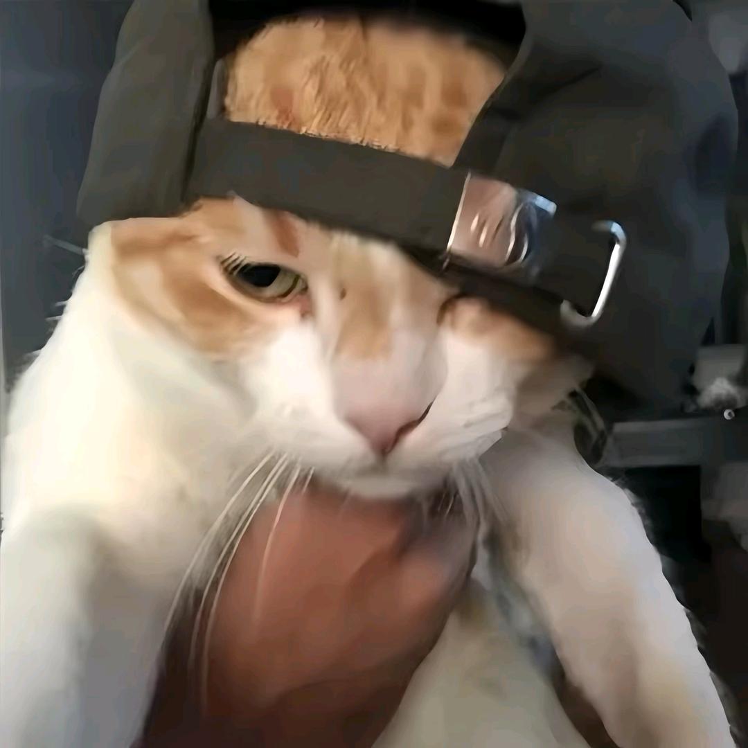 ㅤㅤㅤ