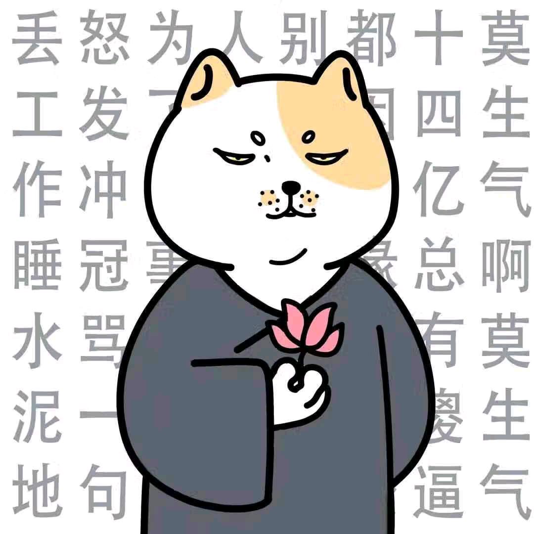 乌鸦终究配不上白鸽