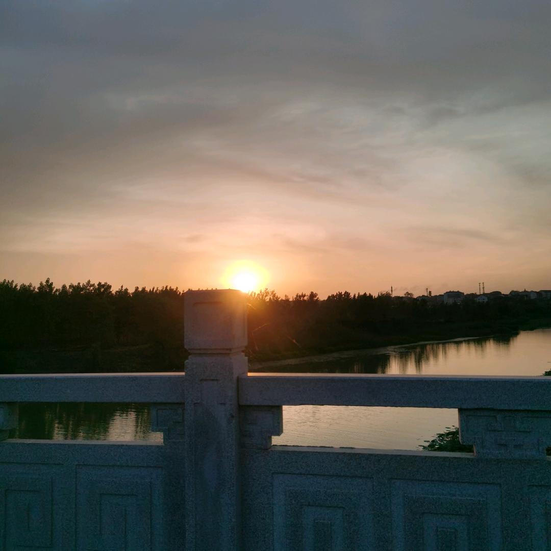 向阳花开
