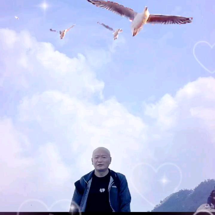 飛