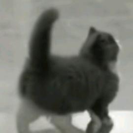 幺九（超自然行动组