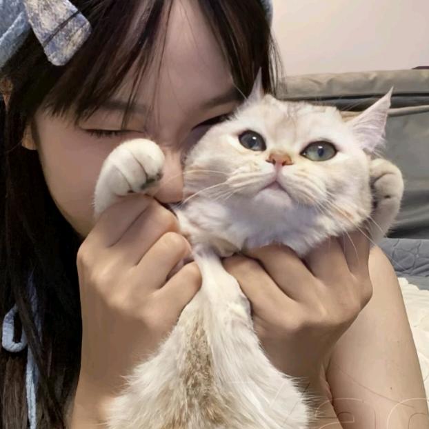 小肥🐑