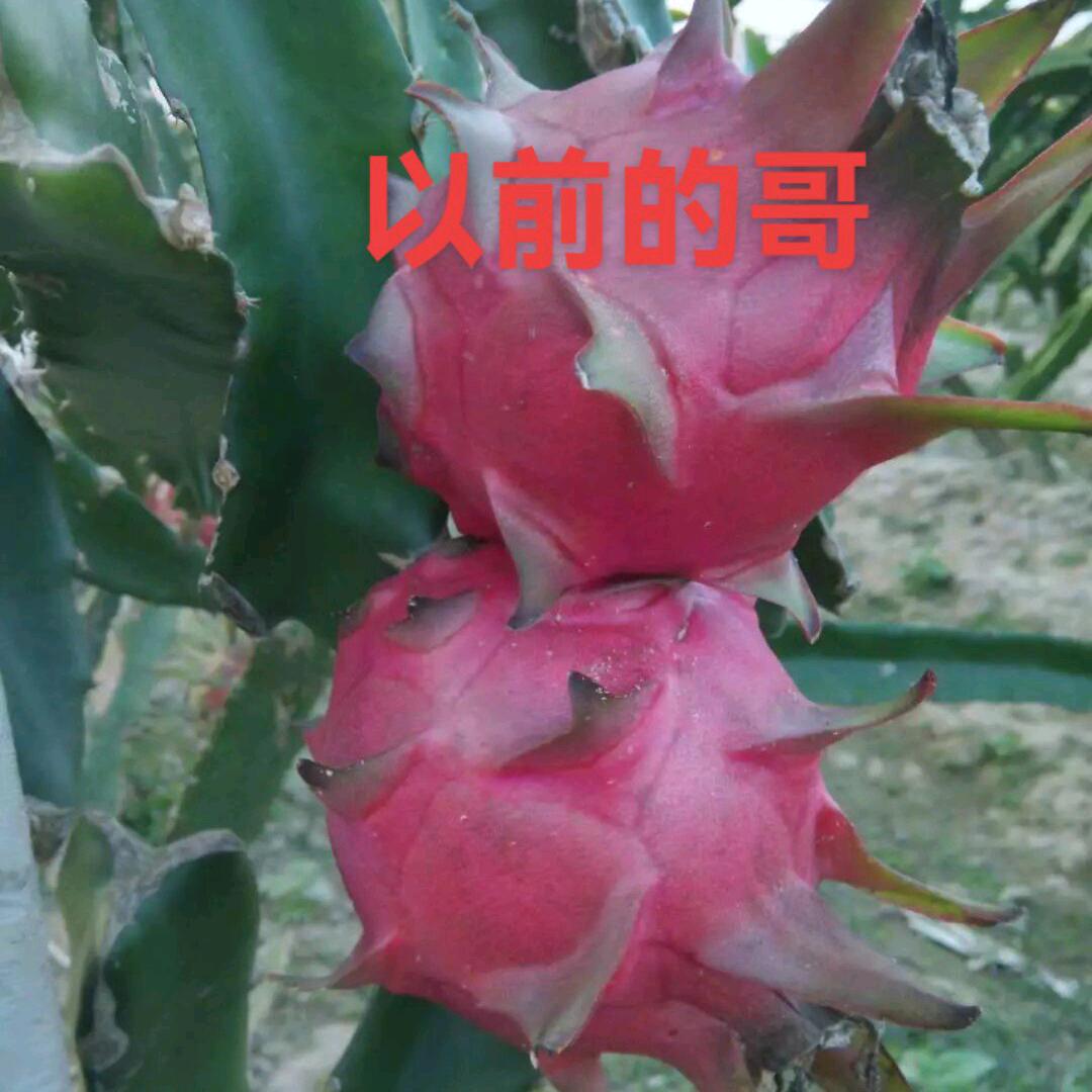 幸福😊开心
