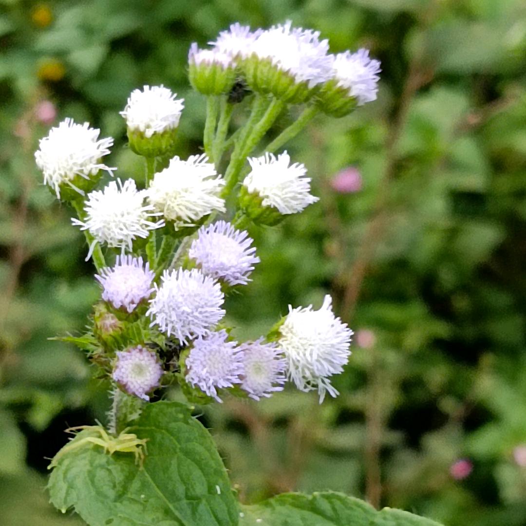独饮ζεζ人生酒