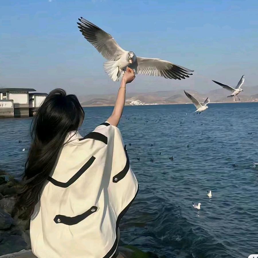 松行优选