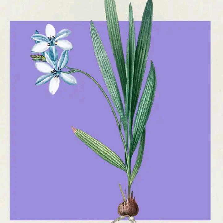 (っ尘封◞‸◟c)