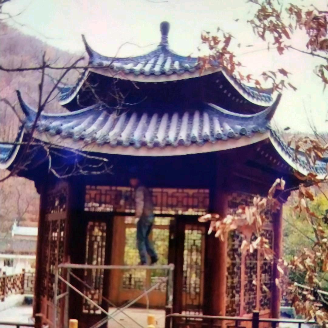 防腐木老陆