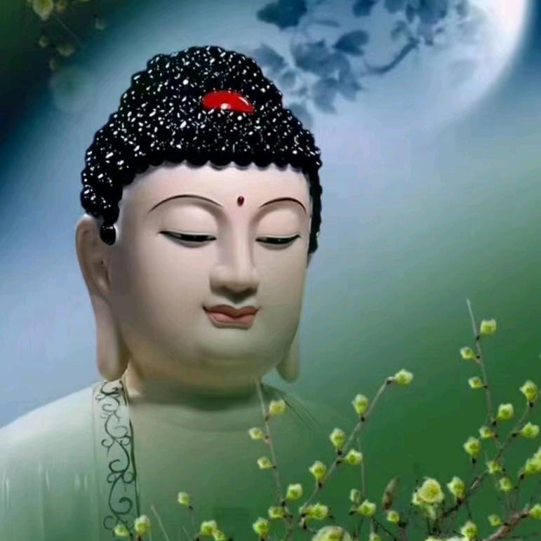用户7770359376384