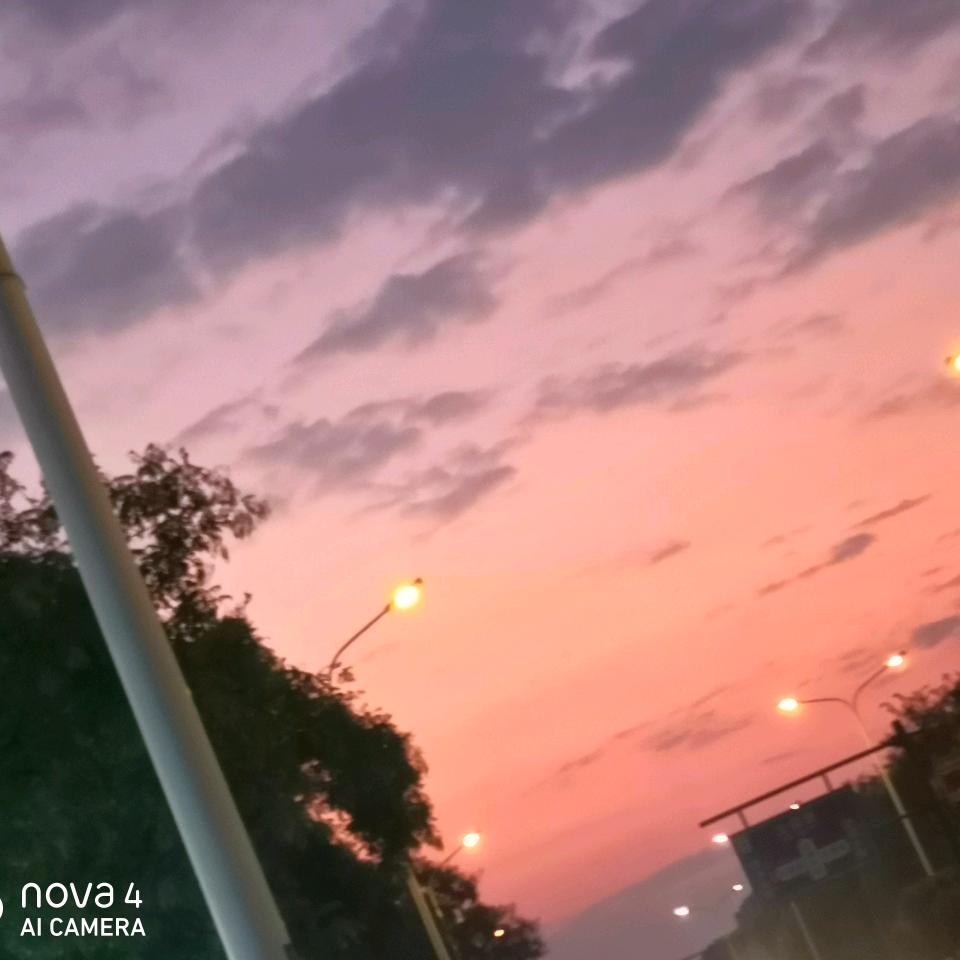 有肉肉的小蛮腰