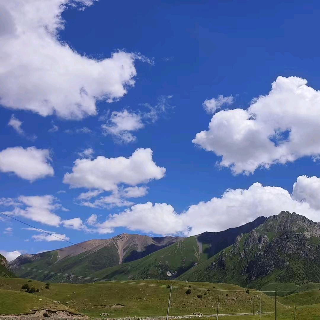 🍀水云间🌳🍃