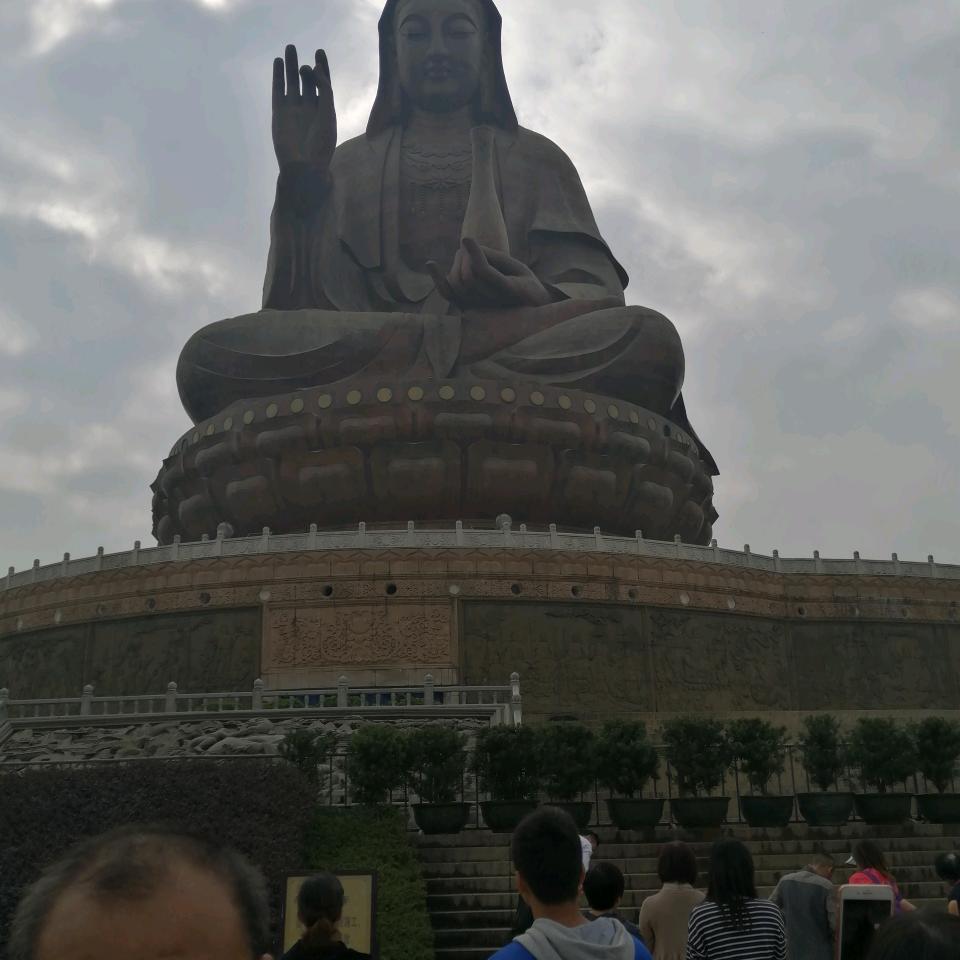 心若向阳