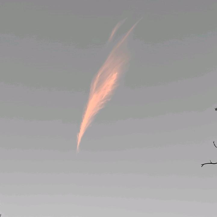 🐏🇨🇳花尘陌🇨🇳🐐