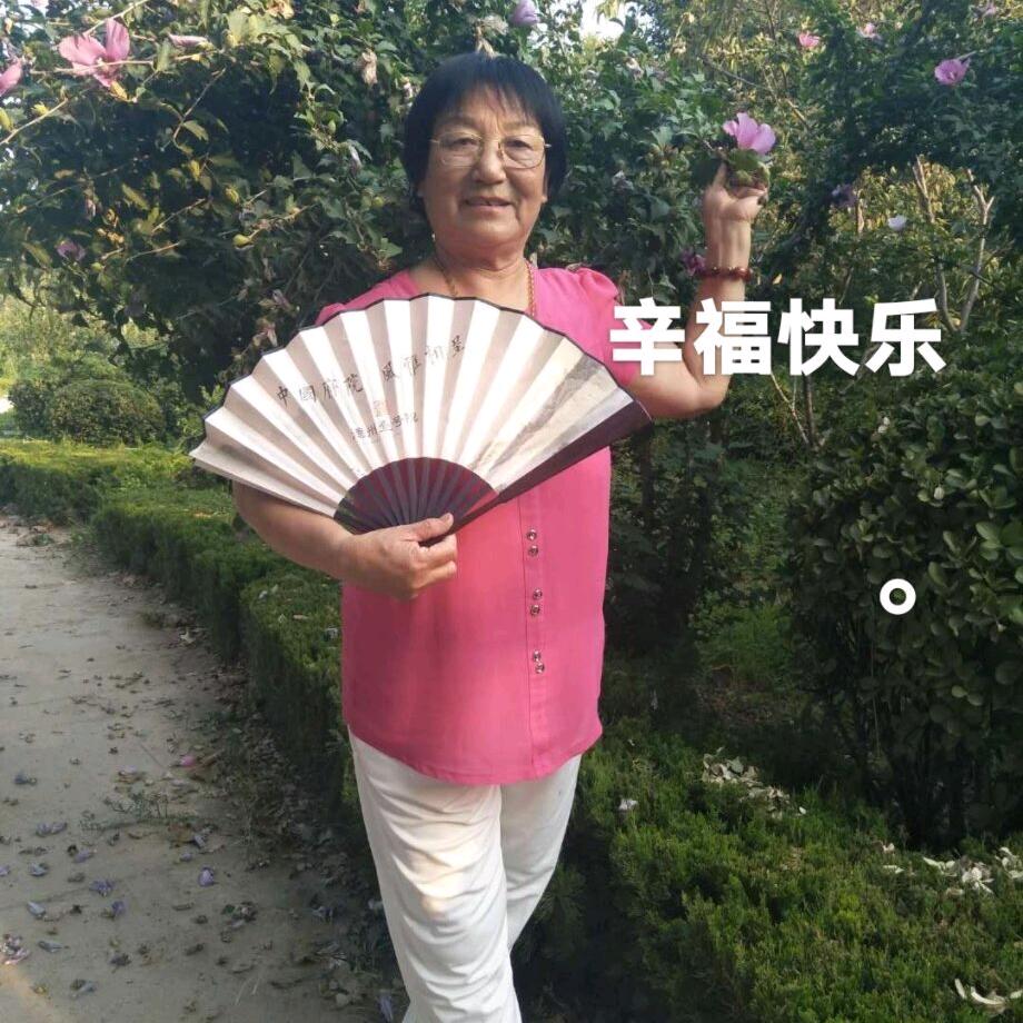 戏曲凤姐