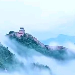 善来