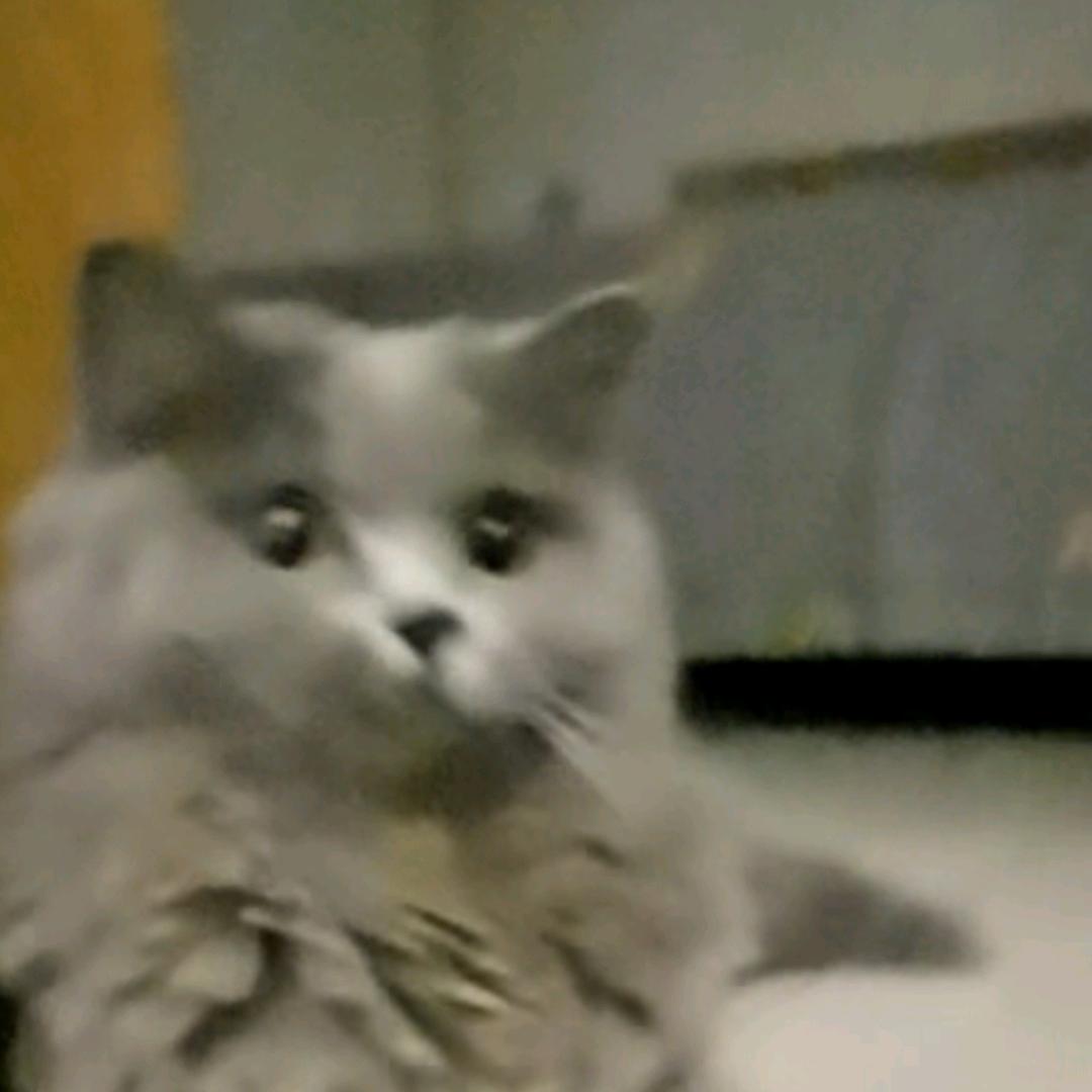 mon