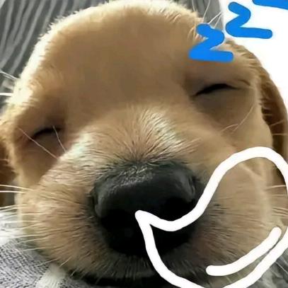 旭不在困
