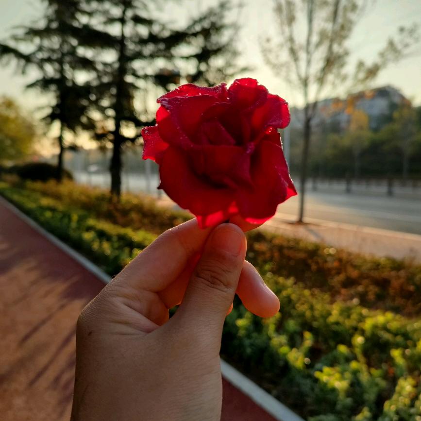 🌺岁月静好🌺
