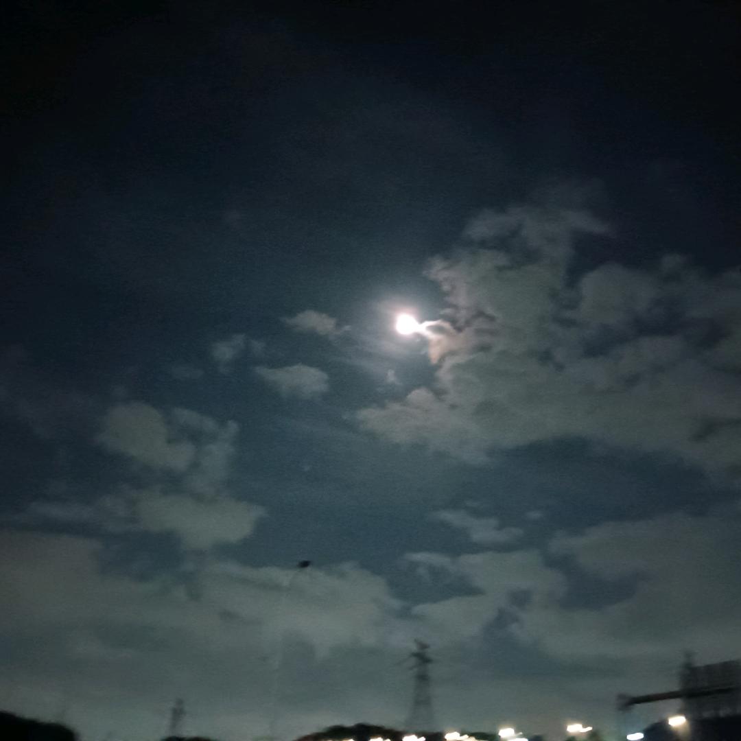 懒😴