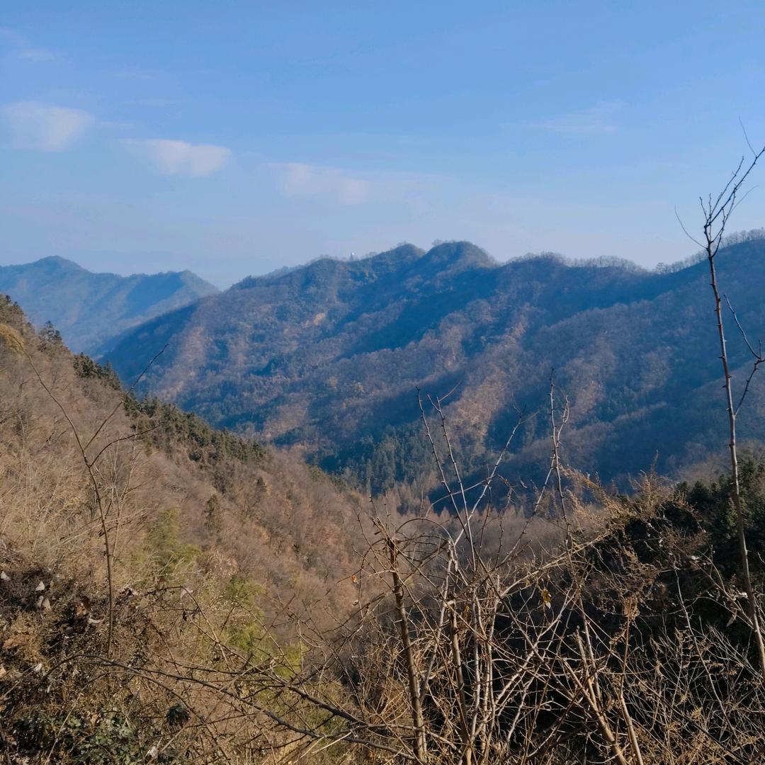 小火箭（人性，认知，创业，负债一起上岸）