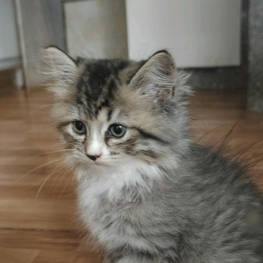 ꦿ᭄幸运～༉ᩚ