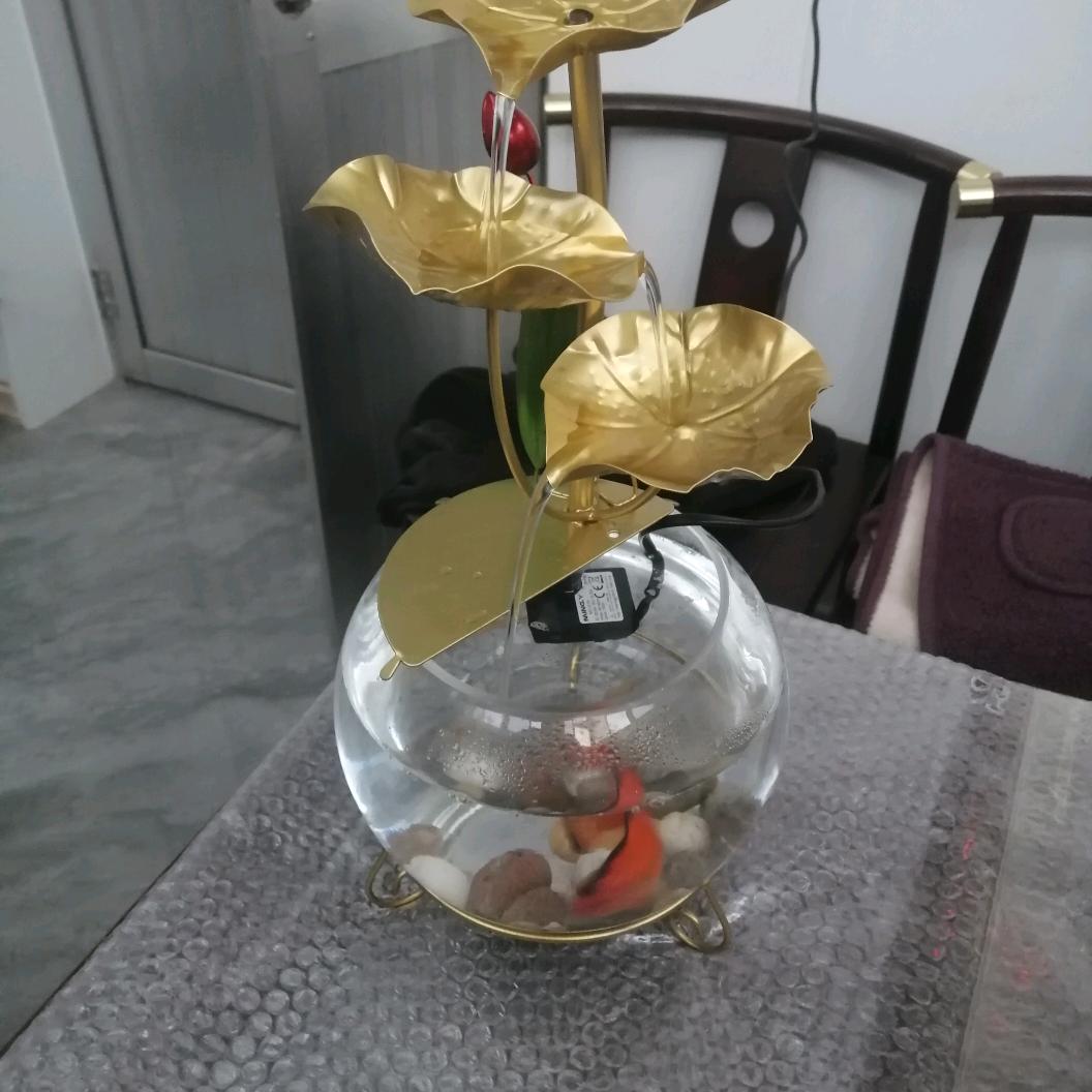 可爱的小汤圆。