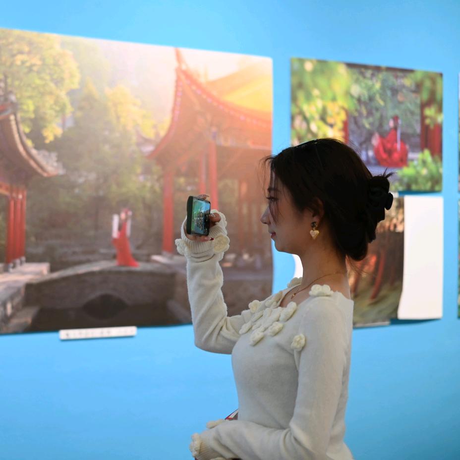 密密（减脂中）