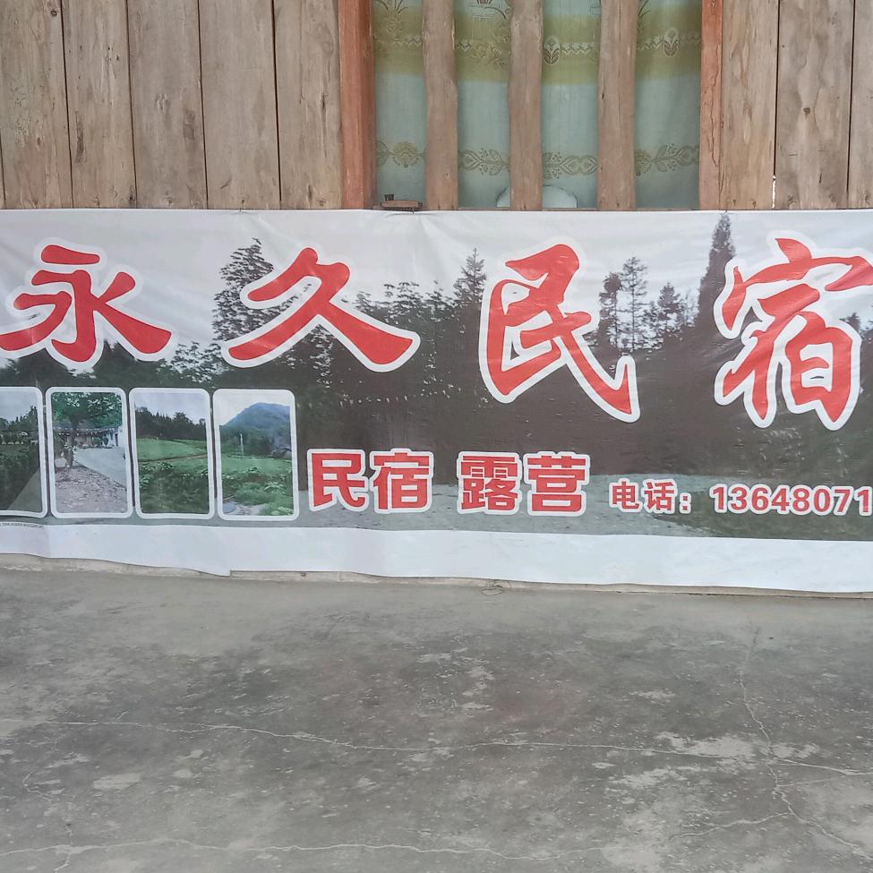 桃子哥