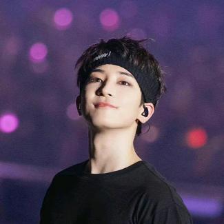 고양이