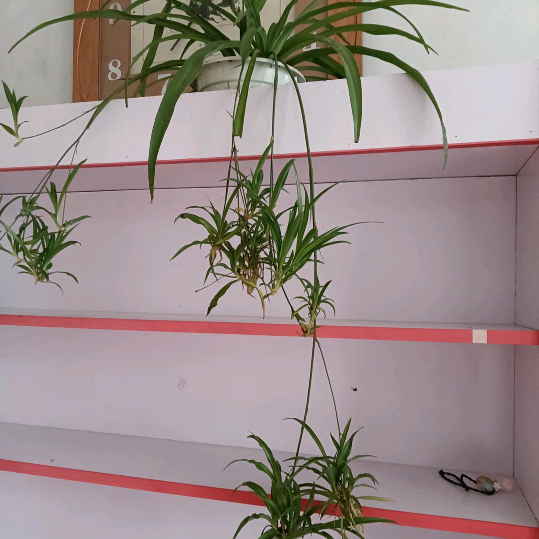 家才是永久的港湾