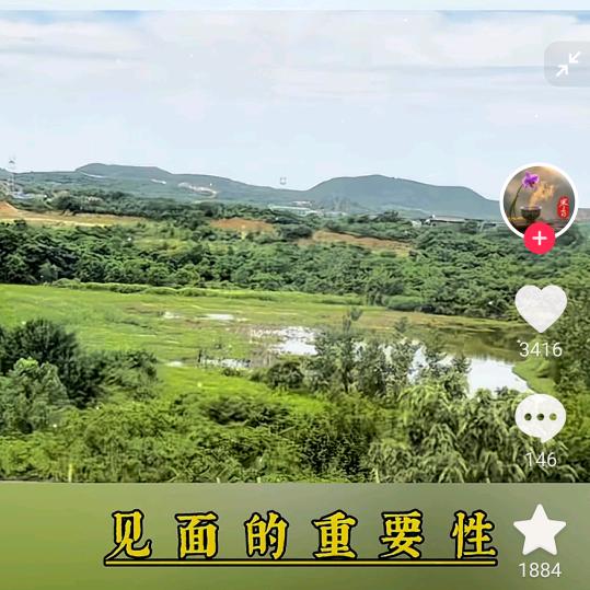 杉杉