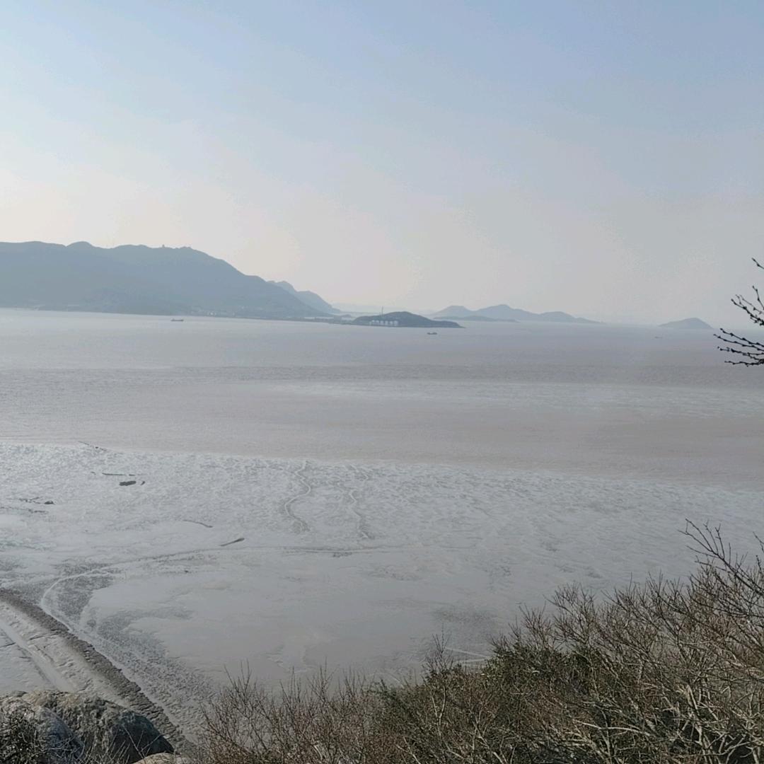 追逐梦想