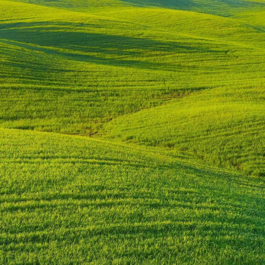 门口一条大河