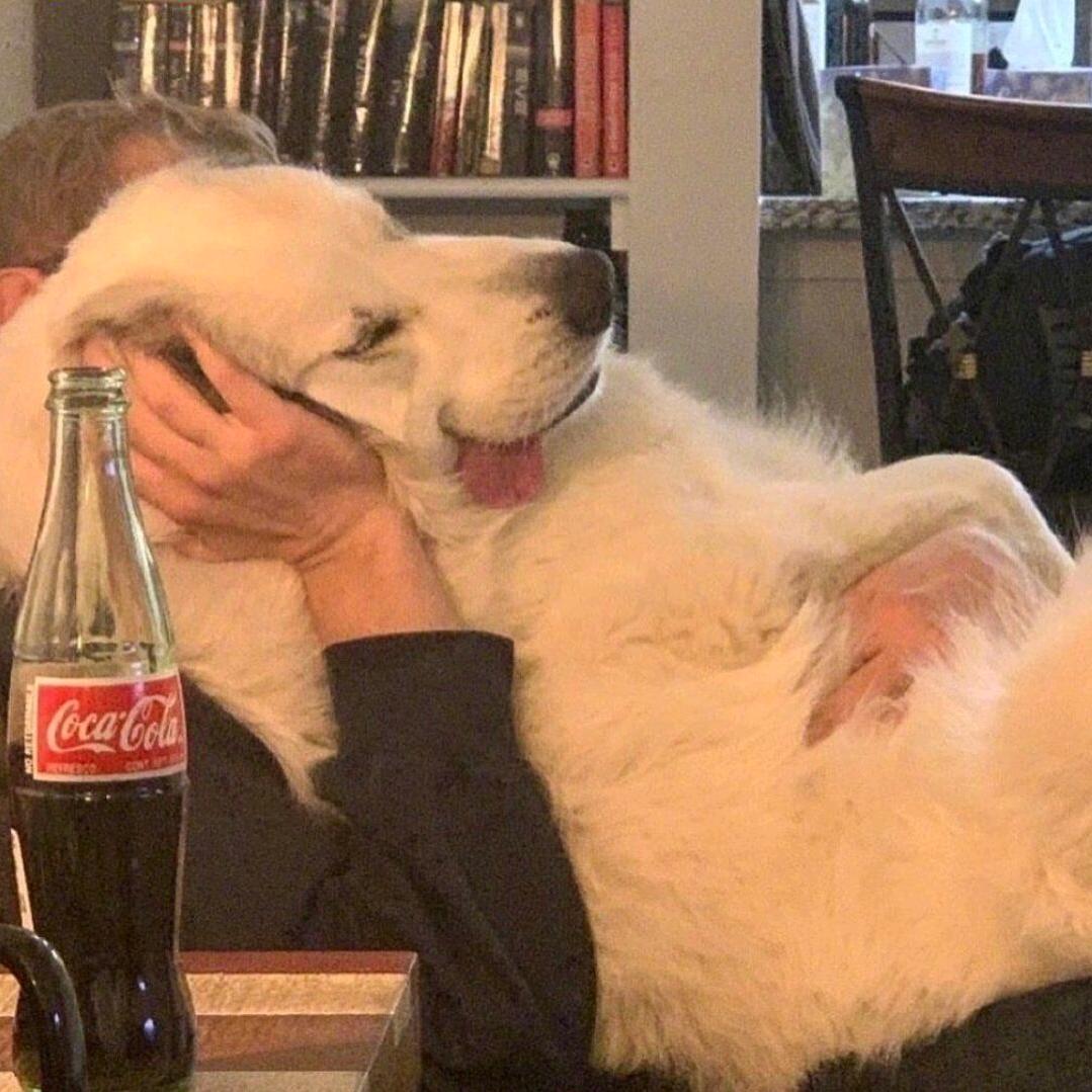 我想要两颗西柚