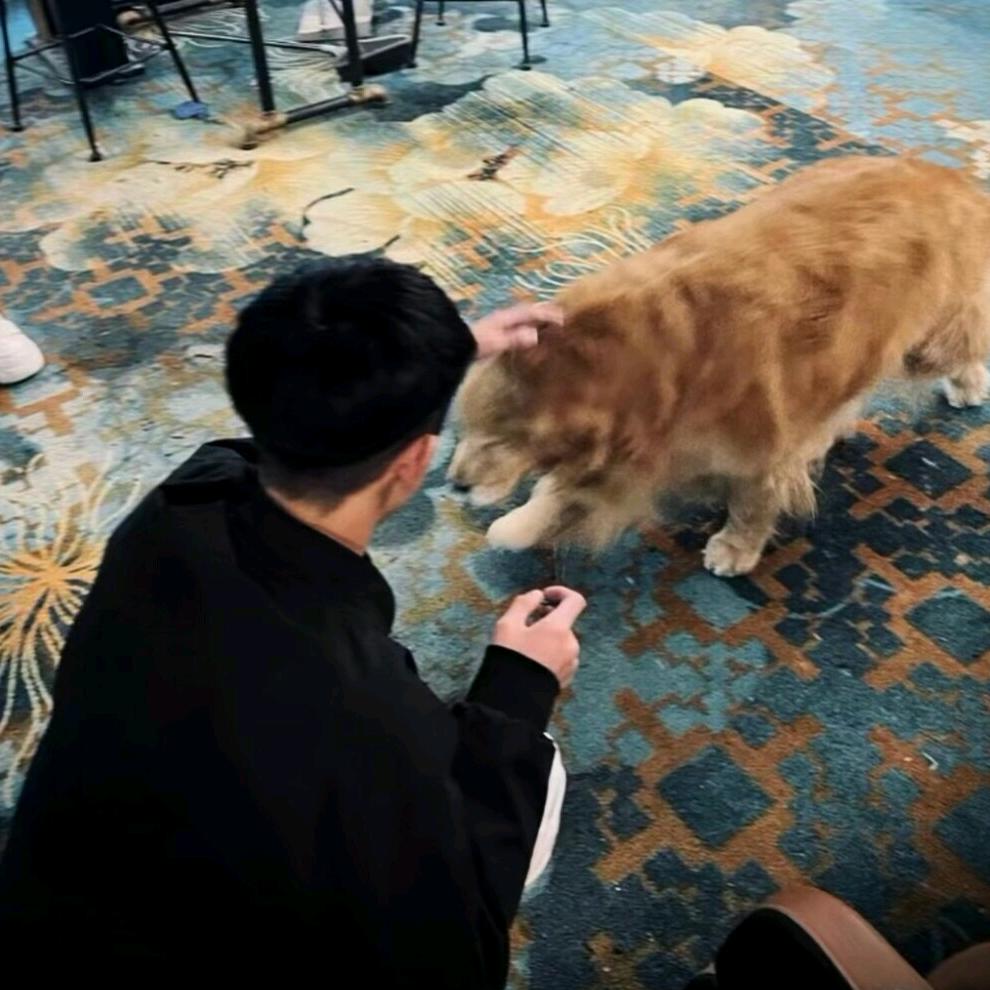 。。