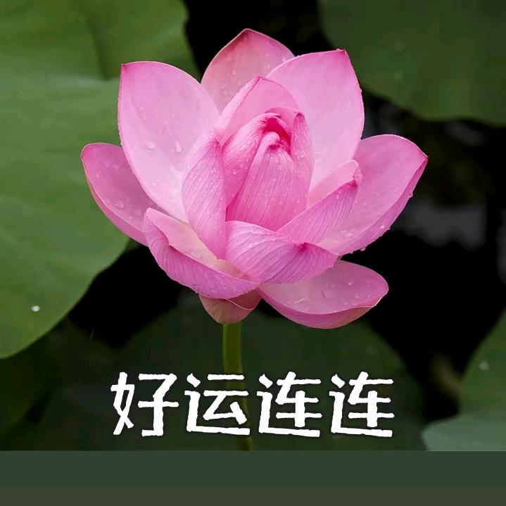 佛缘堂