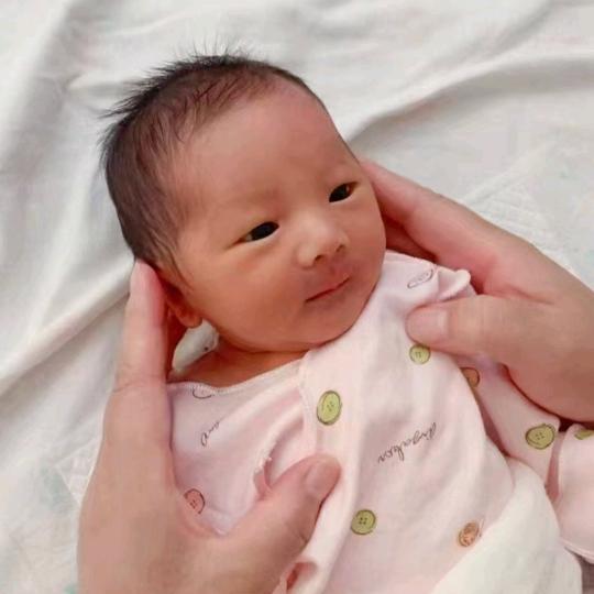 牡丹花，专业母婴护理，🍉