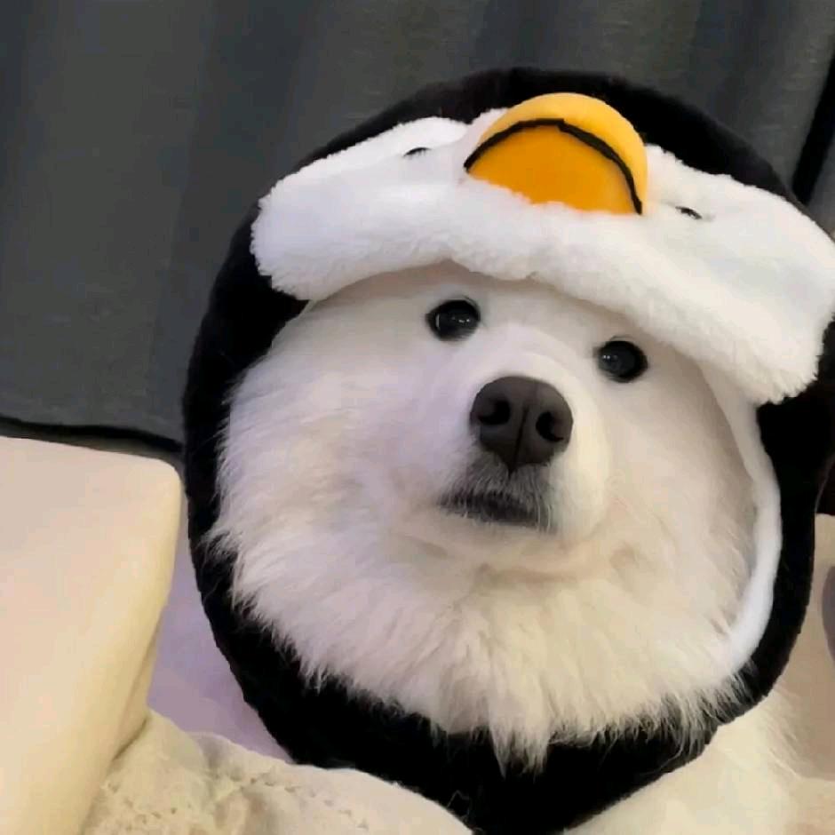 不明真相的吃瓜群众