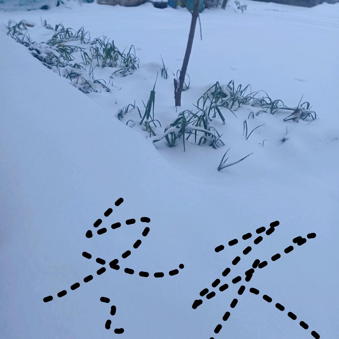 华姐，音乐！头像