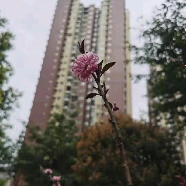 💞爱ღ᭄᭄永恒ꦿ࿐