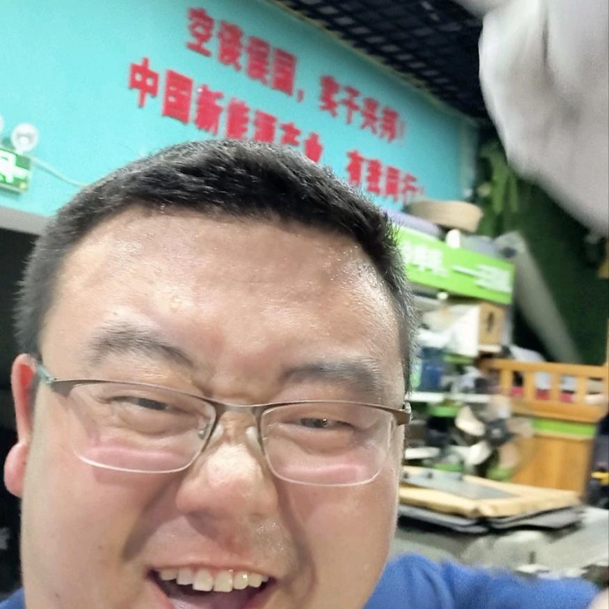 新能源汽车东北王儿