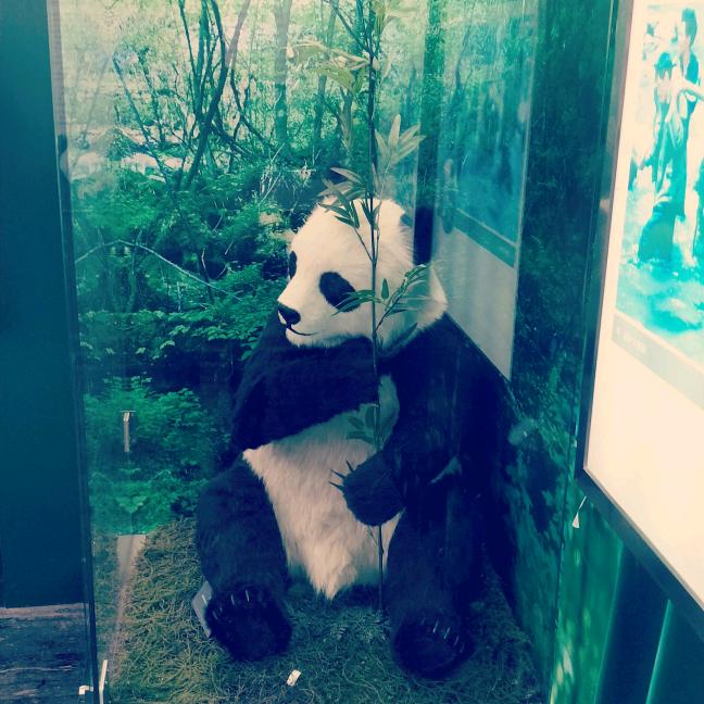 先苦后甜