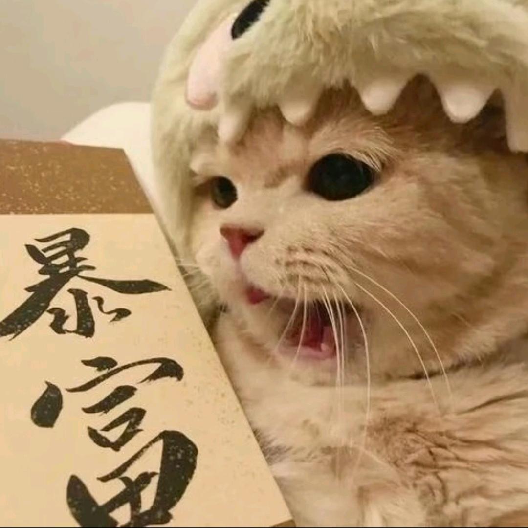 🌈钱来钱来吖💰
