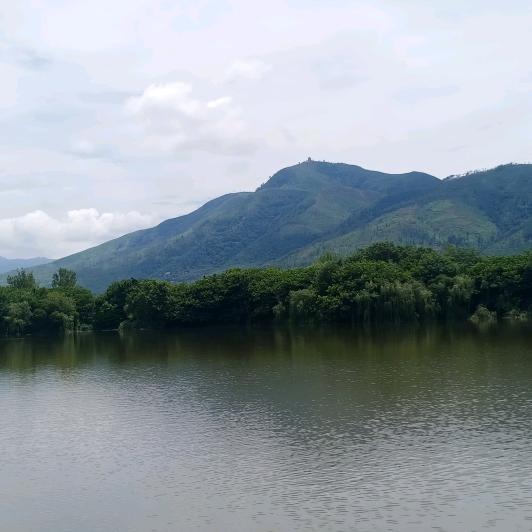为李而来（单身爸爸）