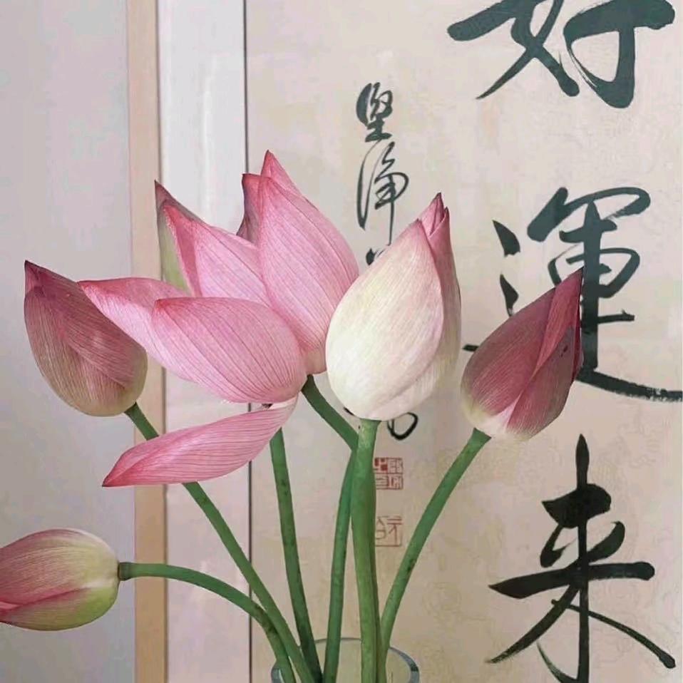广西南宁陪诊陪护问诊