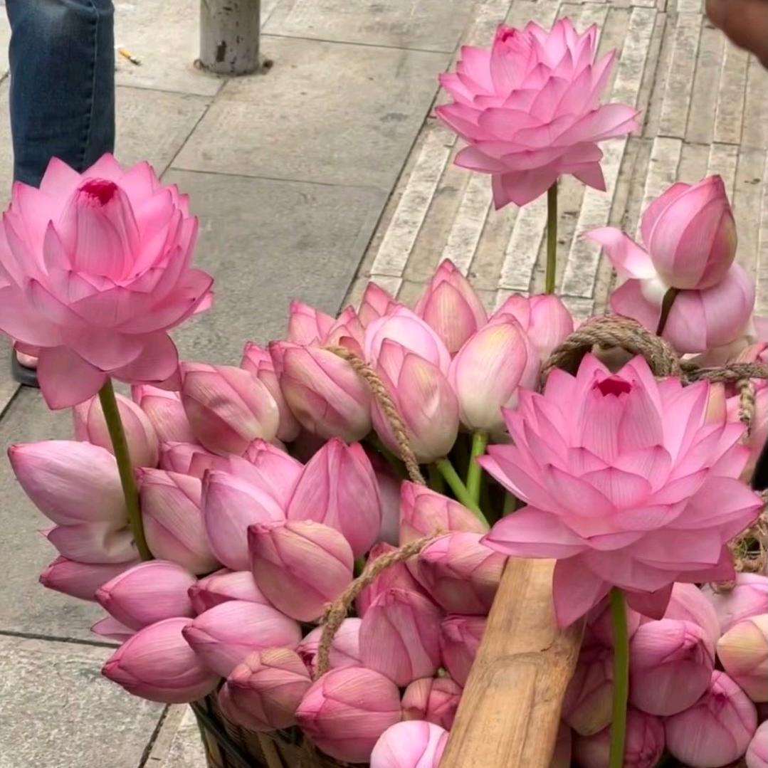 我是丽姐