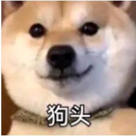 傻了吧唧头像