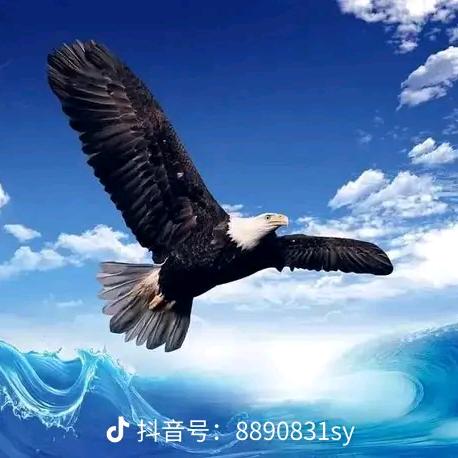 余生温柔都给你