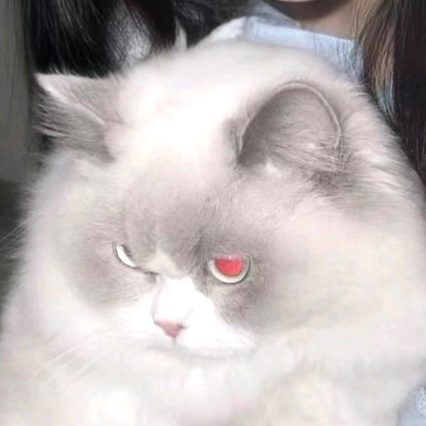 病毒大逃杀